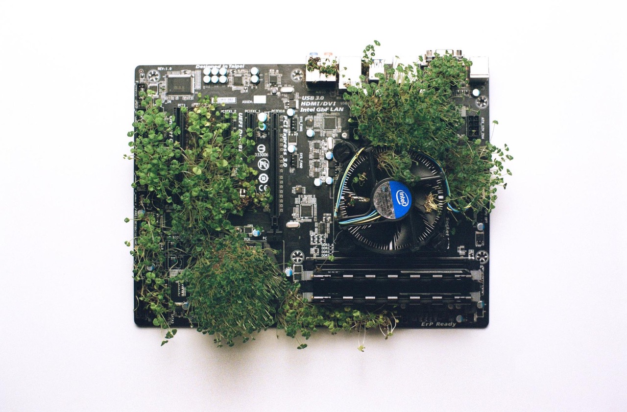 Rethinking Photography Through Nature and Sustainability