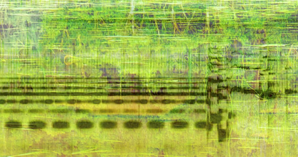 The Secret Lives of Ponds and the Mysterious Musicality of the World – The Marginalian